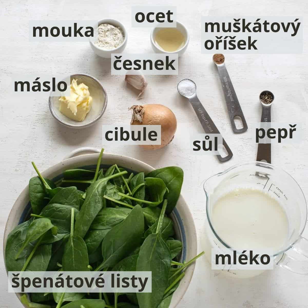 Ingredience pro špenátovou omáčku, včetně popisku.